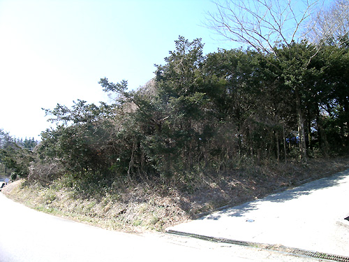 物件正面画像