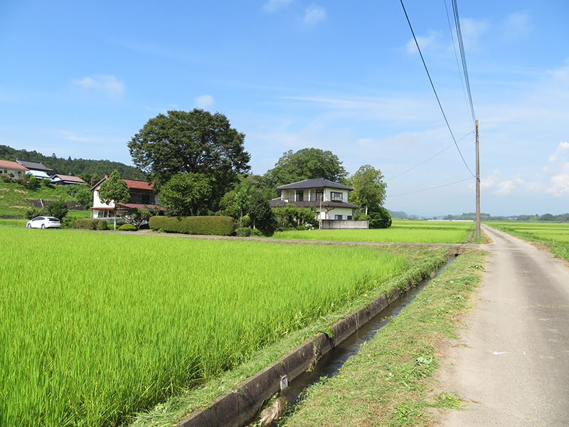 物件正面画像