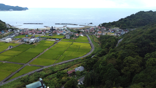 静岡県 伊豆市